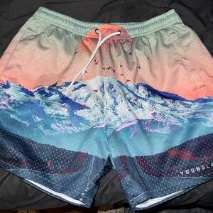 YoungLA Scenic Mountain Shorts